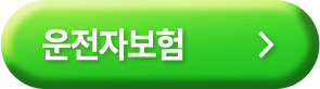 운전자보험