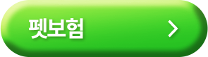 펫보험