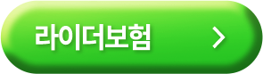 라이더보험