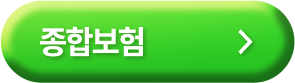 종합보험