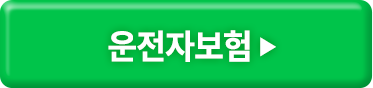 운전자보험