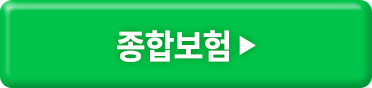 종합보험