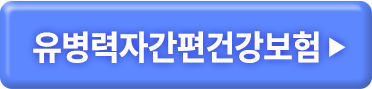유병력자간편건강보험