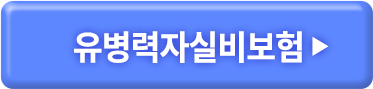 유병력자실비보험