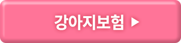 강아지보험