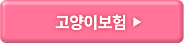 고양이보험