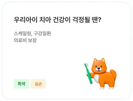 우리아이 치아 건강이 걱정될 땐? | 스케일링, 구강질환 의료비 보장