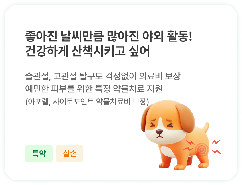 좋아진 날씨만큼 많아진 야외 활동! 건강하게 산책시키고 싶어