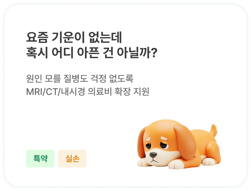 요즘 기운이 없는데 혹시 어디 아픈 건 아닐까?