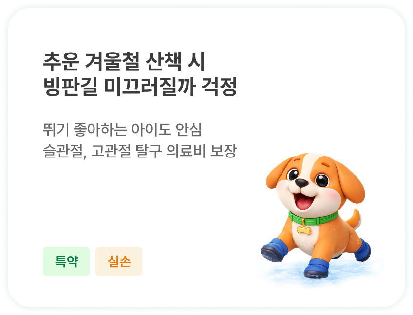 추운 겨울철 산책 시 빙판길 미끄러질까 걱정