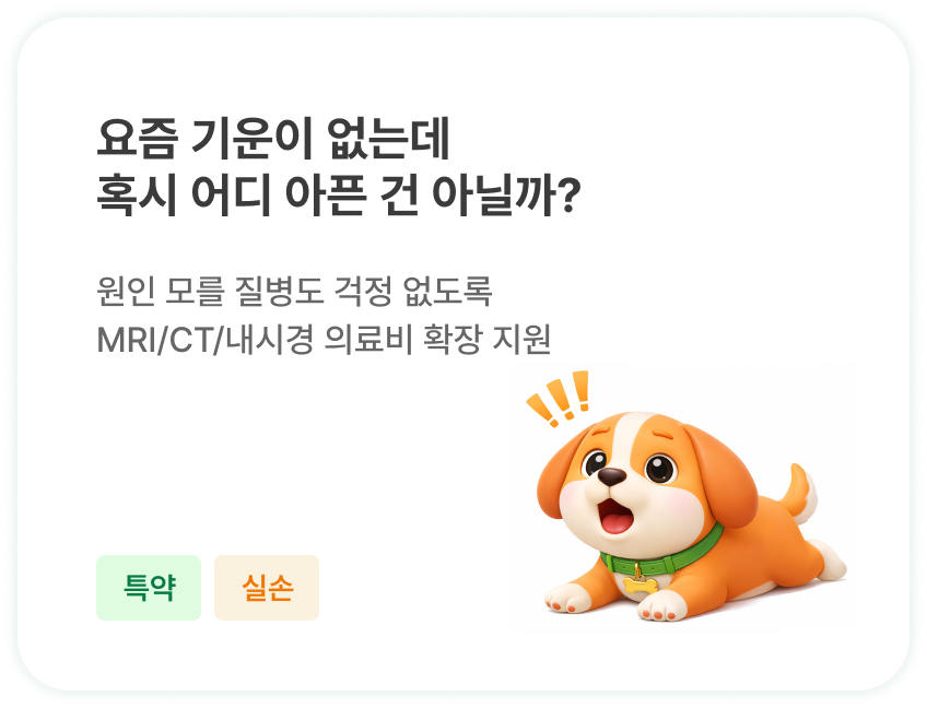 요즘 기운이 없는데 혹시 어디 아픈 건 아닐까?