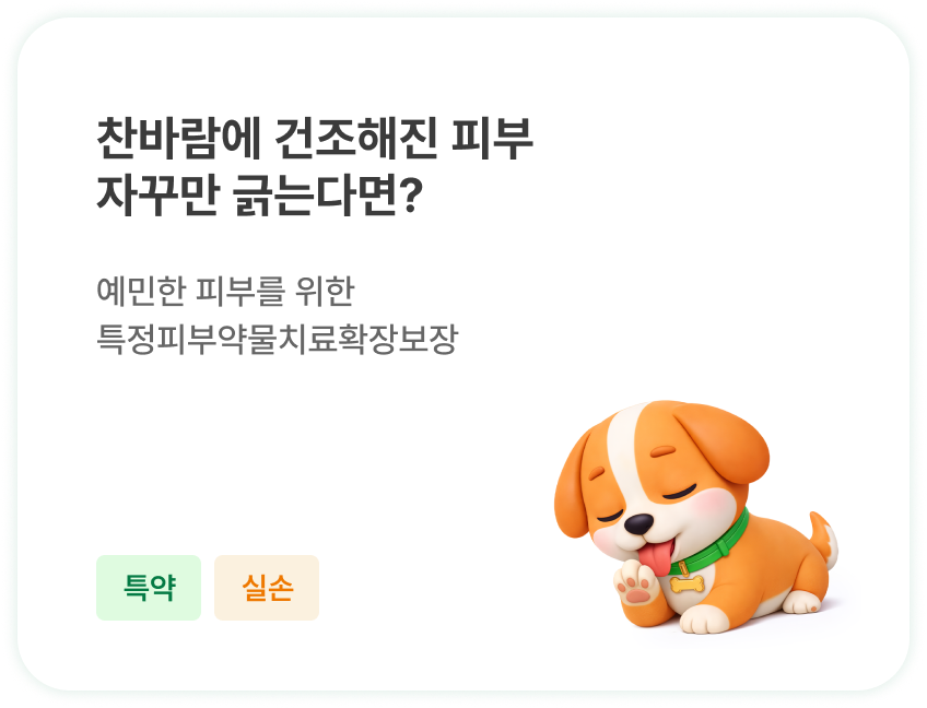 절뚝절뚝 걷는 우리 아이 건강하게 산책 시키고 싶어