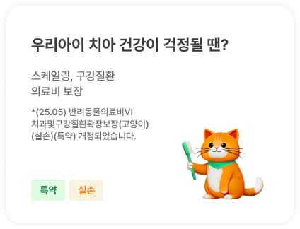 우리아이 치아 건강이 걱정될 땐? | 스케일링, 구강질환 의료비 보장