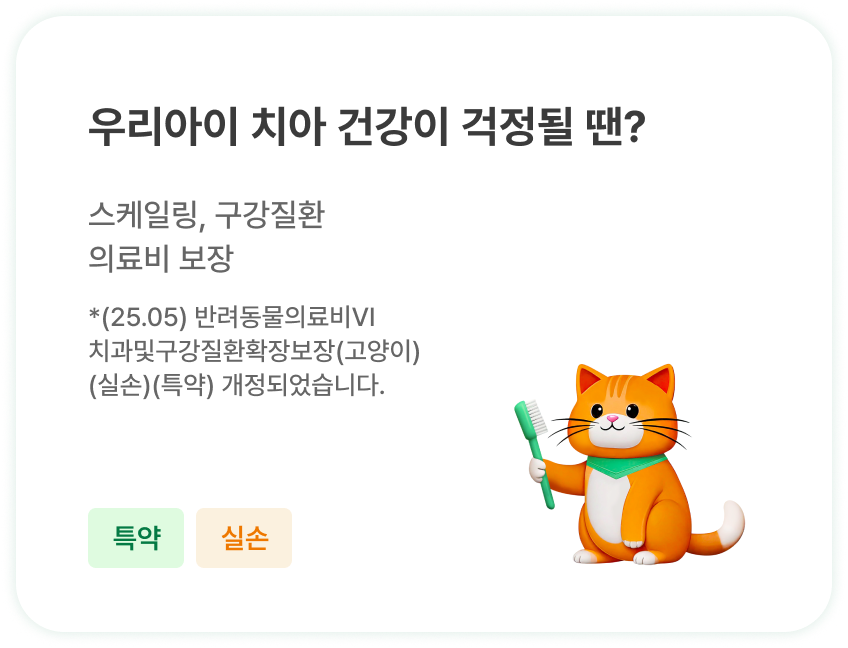 우리아이 치아 건강이 걱정될 땐? | 스케일링, 구강질환 의료비 보장