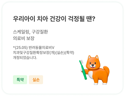 우리아이 치아 건강이 걱정될 땐? | 스케일링, 구강질환 의료비 보장