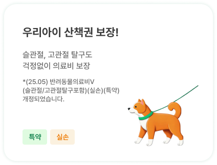 우리아이 산책권 보장! | 슬관절, 고관절 탈구도 걱정없이 의료비 보장