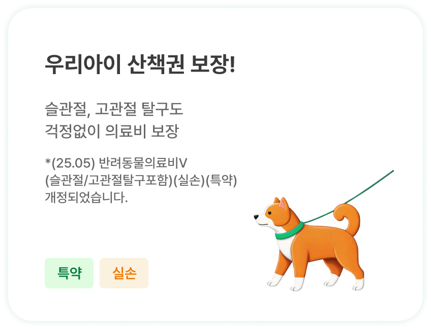 우리아이 산책권 보장! | 슬관절, 고관절 탈구도 걱정없이 의료비 보장