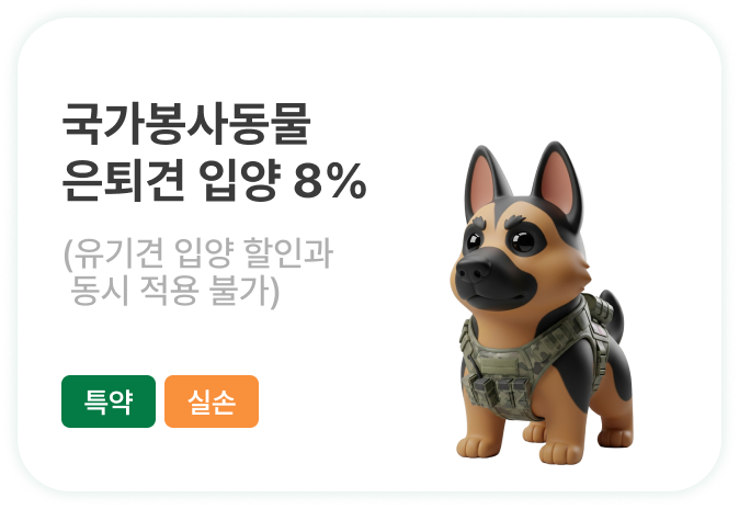 좋아진 날씨만큼 많아진 야외 활동! 건강하게 산책시키고 싶어