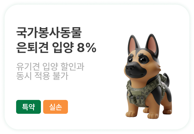 좋아진 날씨만큼 많아진 야외 활동! 건강하게 산책시키고 싶어