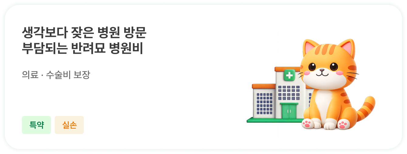 좋아진 날씨만큼 많아진 야외 활동! 건강하게 산책시키고 싶어