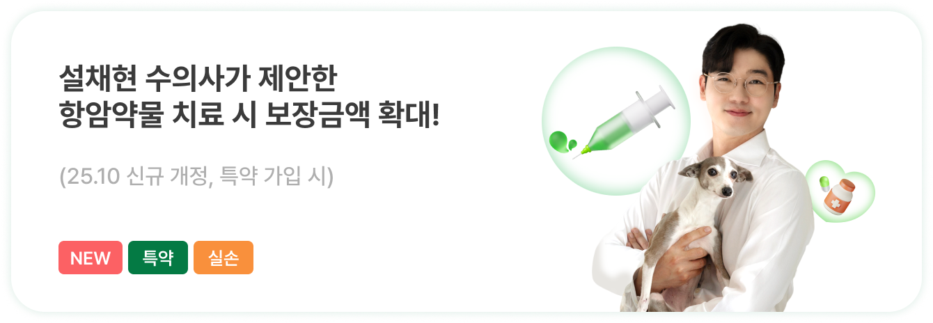 좋아진 날씨만큼 많아진 야외 활동! 건강하게 산책시키고 싶어