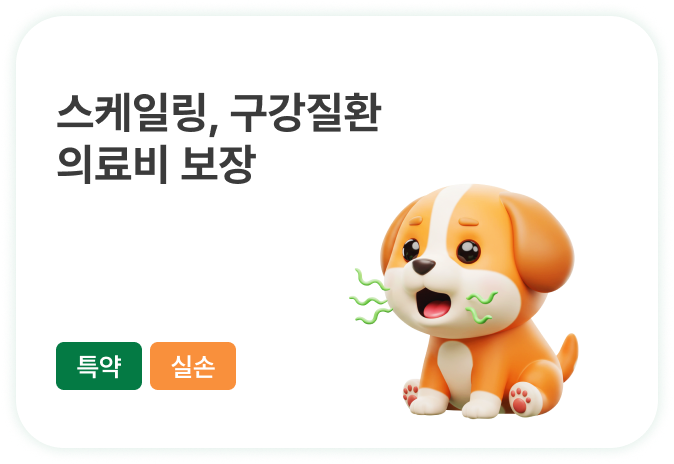 입 속에서 나는 악취! 우리 아이 구강 관리는 필수