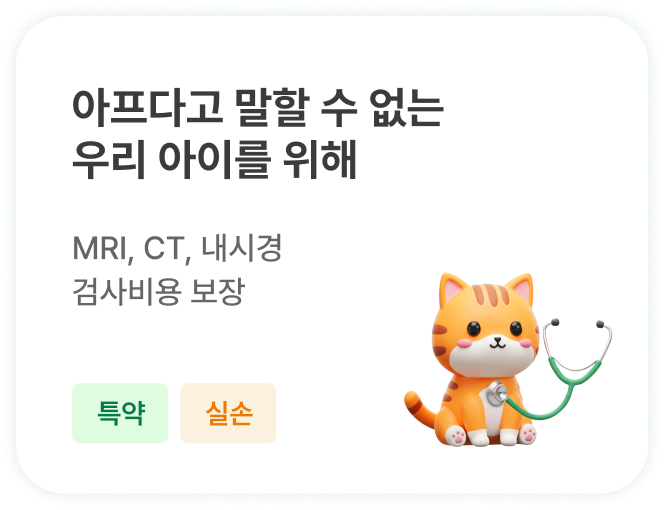 요즘 기운이 없는데 혹시 어디 아픈 건 아닐까?