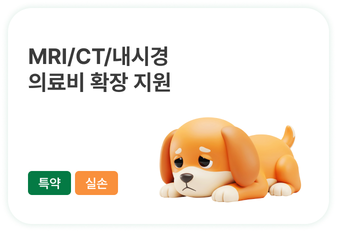 요즘 기운이 없는데 혹시 어디 아픈 건 아닐까?