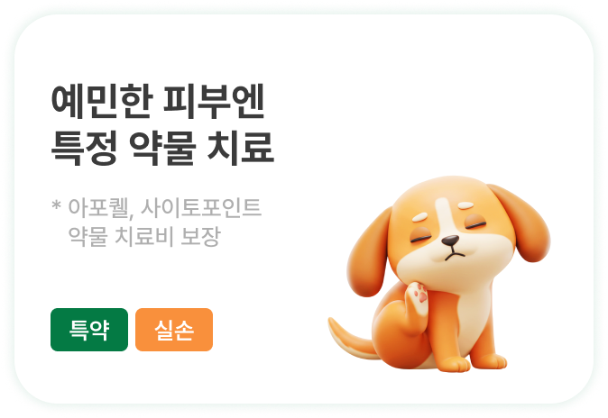 큰 일 겪는 우리 아이 든든하게 이겨내도록
