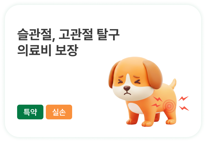 좋아진 날씨만큼 많아진 야외 활동! 건강하게 산책시키고 싶어