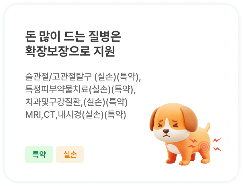 돈 많이 드는 질병은
                        확장보장으로 지원 | 슬관절/고관절탈구 (실손)(특약),
                        특정피부약물치료(실손)(특약),
                        치과및구강질환,(실손)(특약)
                        MRI,CT,내시경(실손)(특약)